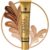 Wie benutzt man die New Well Derma Foundation? New Well Derma intensive Concealer Foundation
